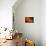 Shades of Orange-Ursula Abresch-Premium Photographic Print displayed on a wall