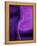 Shades of Purple I-Ruth Palmer 2-Framed Stretched Canvas