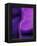 Shades of Purple I-Ruth Palmer 2-Framed Stretched Canvas