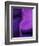 Shades of Purple I-Ruth Palmer 2-Framed Art Print