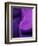 Shades of Purple I-Ruth Palmer 2-Framed Art Print