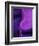 Shades of Purple I-Ruth Palmer 2-Framed Art Print