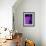 Shades of Purple II-Ruth Palmer 2-Framed Art Print displayed on a wall