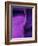 Shades of Purple II-Ruth Palmer 2-Framed Art Print