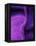 Shades of Purple II-Ruth Palmer 2-Framed Stretched Canvas