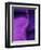 Shades of Purple II-Ruth Palmer 2-Framed Art Print