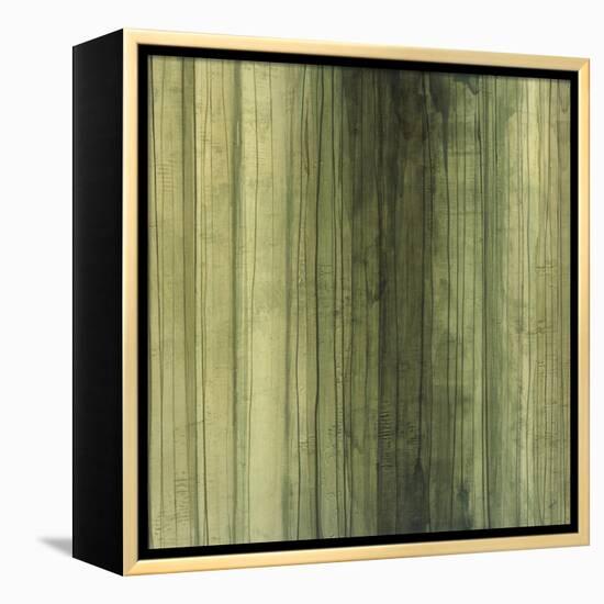 Shades of Sage-Randy Hibberd-Framed Stretched Canvas
