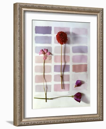 Shades-Camille Soulayrol-Framed Art Print