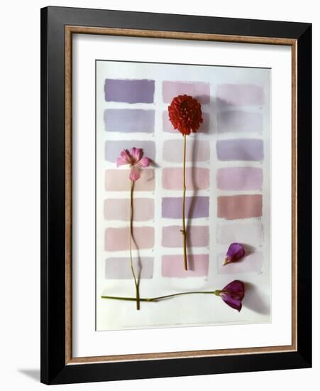 Shades-Camille Soulayrol-Framed Art Print