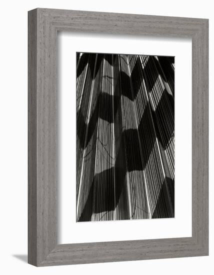 Shadow 1-Lee Peterson-Framed Photographic Print