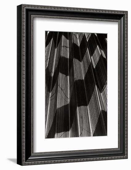 Shadow 1-Lee Peterson-Framed Photographic Print