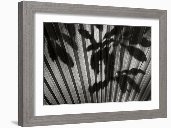 Shadow 3-Lee Peterson-Framed Photographic Print