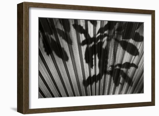 Shadow 3-Lee Peterson-Framed Photographic Print