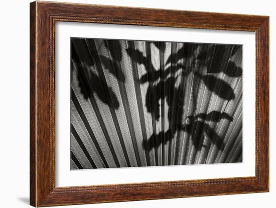 Shadow 3-Lee Peterson-Framed Photographic Print