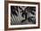 Shadow 3-Lee Peterson-Framed Photographic Print