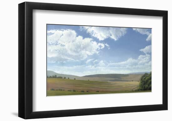 Shadow and Sunlight, Hayfield-Elissa Gore-Framed Art Print