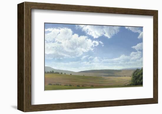 Shadow and Sunlight, Hayfield-Elissa Gore-Framed Art Print