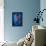 Shadow Blue-Philippe Sainte-Laudy-Framed Premier Image Canvas displayed on a wall