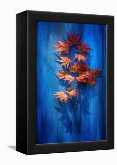 Shadow Blue-Philippe Sainte-Laudy-Framed Premier Image Canvas