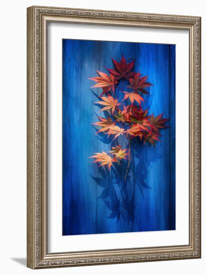 Shadow Blue-Philippe Sainte-Laudy-Framed Photographic Print