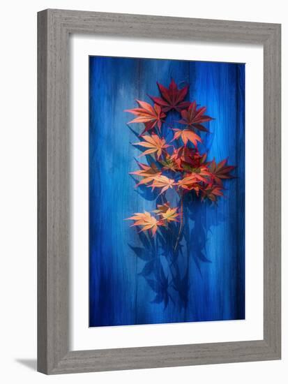 Shadow Blue-Philippe Sainte-Laudy-Framed Photographic Print
