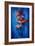 Shadow Blue-Philippe Sainte-Laudy-Framed Photographic Print