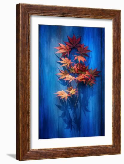 Shadow Blue-Philippe Sainte-Laudy-Framed Photographic Print