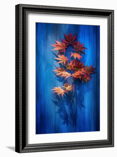 Shadow Blue-Philippe Sainte-Laudy-Framed Photographic Print