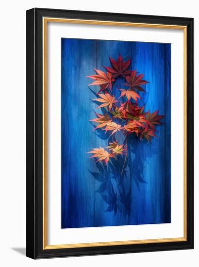 Shadow Blue-Philippe Sainte-Laudy-Framed Photographic Print