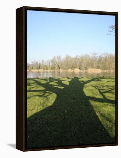 Shadow Cast by Large English Oak Tree (Quercus Robur) on Ornamental Lake, Corsham, England-Nick Upton-Framed Premier Image Canvas