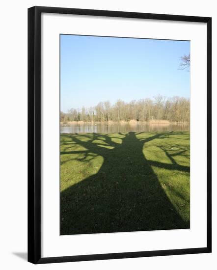Shadow Cast by Large English Oak Tree (Quercus Robur) on Ornamental Lake, Corsham, England-Nick Upton-Framed Photographic Print