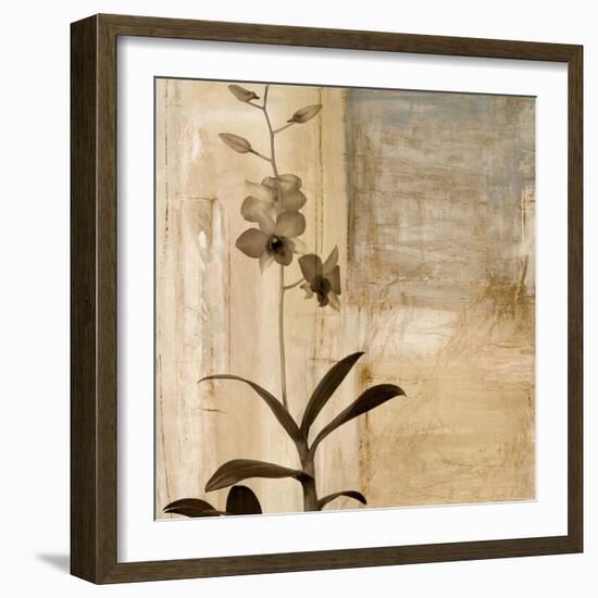 Shadow Dance I-Chris Donovan-Framed Art Print