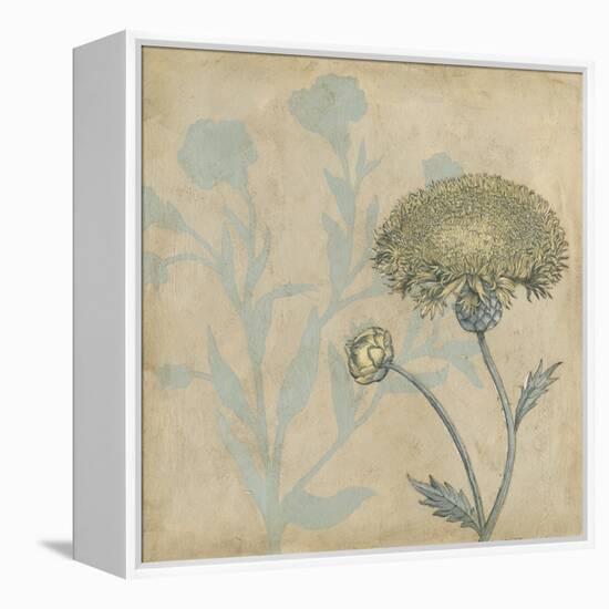 Shadow Floral II-Megan Meagher-Framed Stretched Canvas