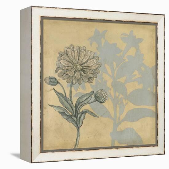 Shadow Floral III-Megan Meagher-Framed Stretched Canvas