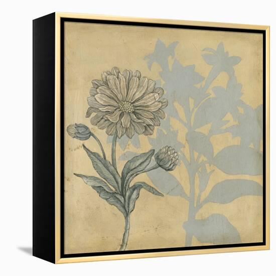 Shadow Floral III-Megan Meagher-Framed Stretched Canvas