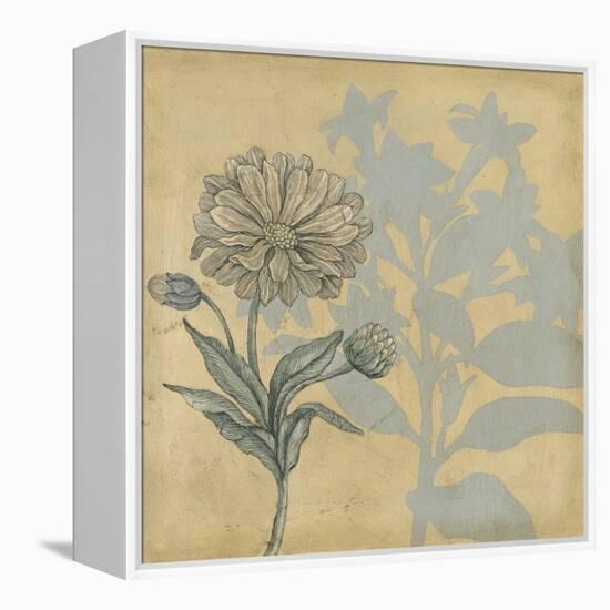 Shadow Floral III-Megan Meagher-Framed Stretched Canvas