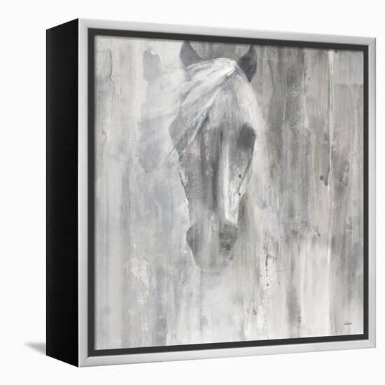 Shadow Gray-Albena Hristova-Framed Stretched Canvas