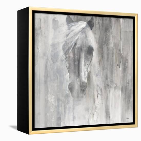 Shadow Gray-Albena Hristova-Framed Stretched Canvas