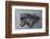 Shadow Hunter-Kalon Baughan-Framed Giclee Print