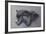 Shadow Hunter-Kalon Baughan-Framed Art Print