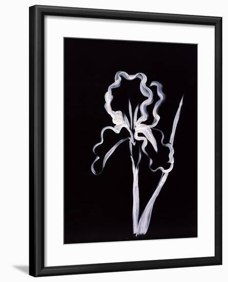 Shadow Iris-Susan Gillette-Framed Premium Giclee Print