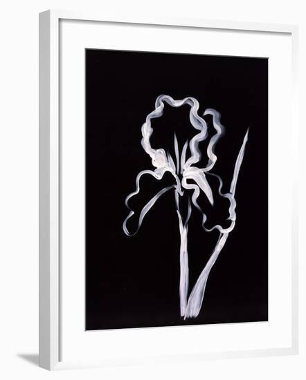 Shadow Iris-Susan Gillette-Framed Premium Giclee Print