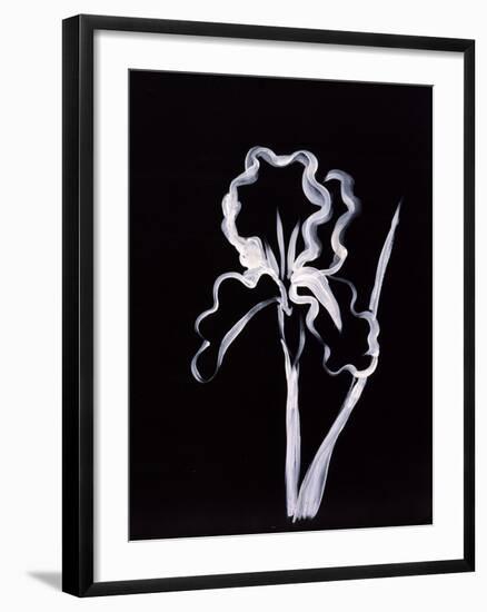 Shadow Iris-Susan Gillette-Framed Premium Giclee Print