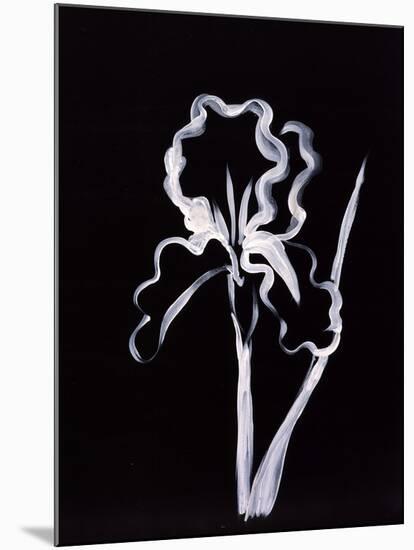 Shadow Iris-Susan Gillette-Mounted Premium Giclee Print