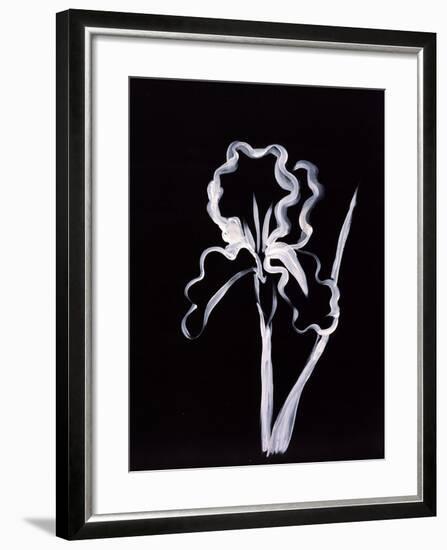 Shadow Iris-Susan Gillette-Framed Premium Giclee Print