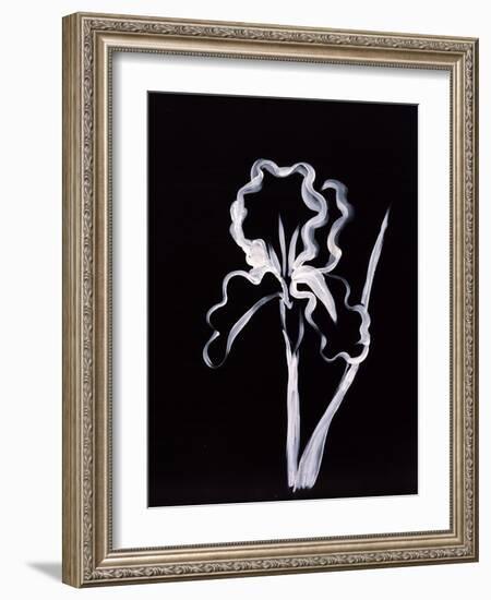 Shadow Iris-Susan Gillette-Framed Giclee Print