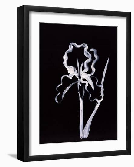 Shadow Iris-Susan Gillette-Framed Giclee Print