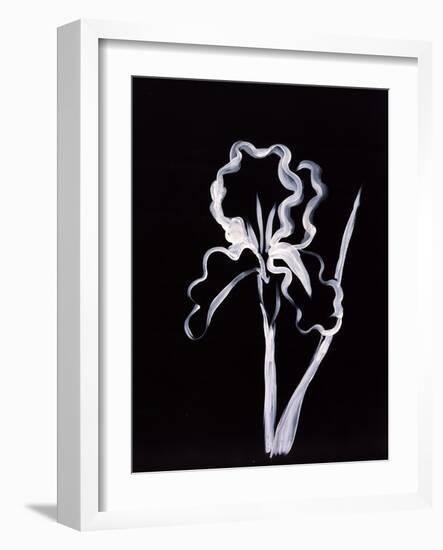 Shadow Iris-Susan Gillette-Framed Giclee Print