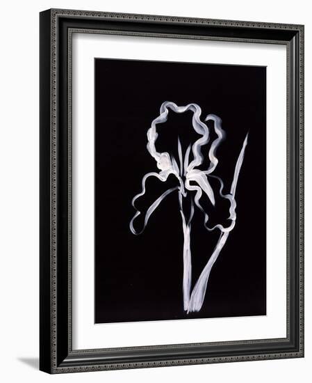 Shadow Iris-Susan Gillette-Framed Giclee Print