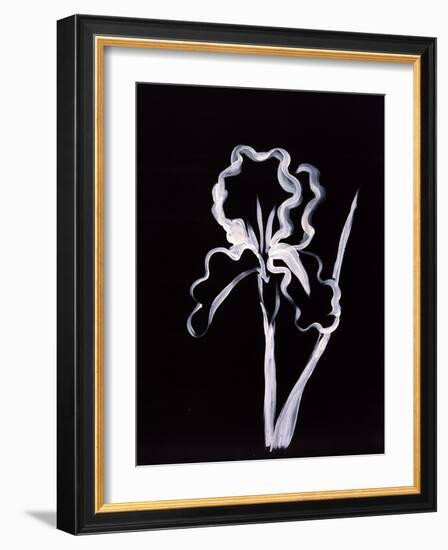 Shadow Iris-Susan Gillette-Framed Giclee Print